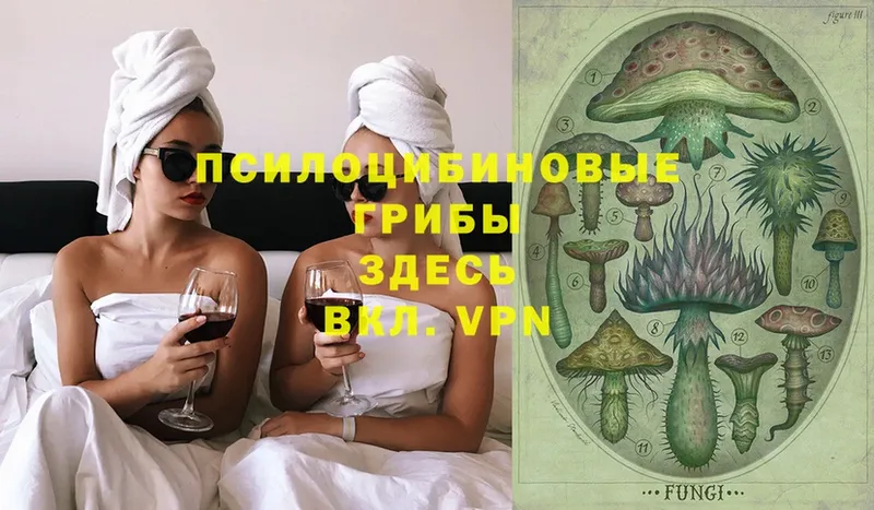 KRAKEN как войти  Белёв  Галлюциногенные грибы Psilocybe  купить  цена 